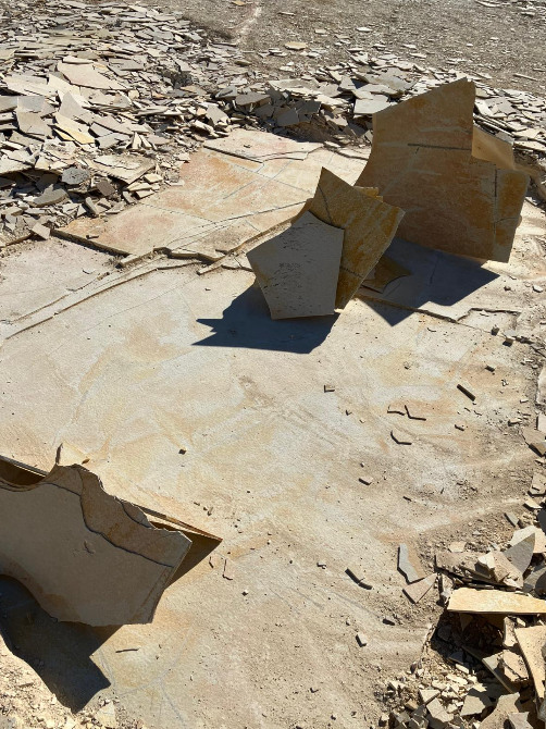Fossilienfund im Steinbruch