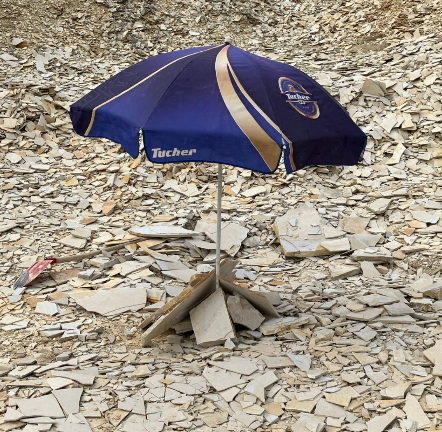 Fossilienfund im Steinbruch