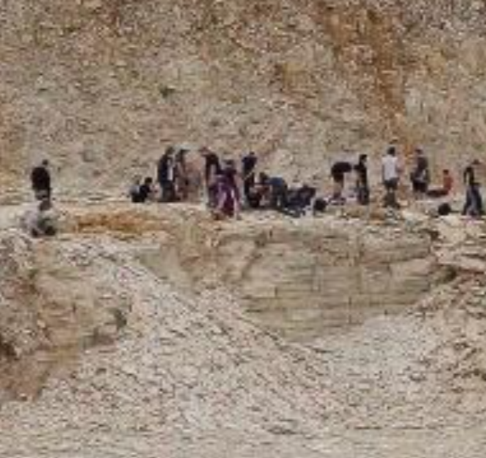 Fossilienfund im Steinbruch